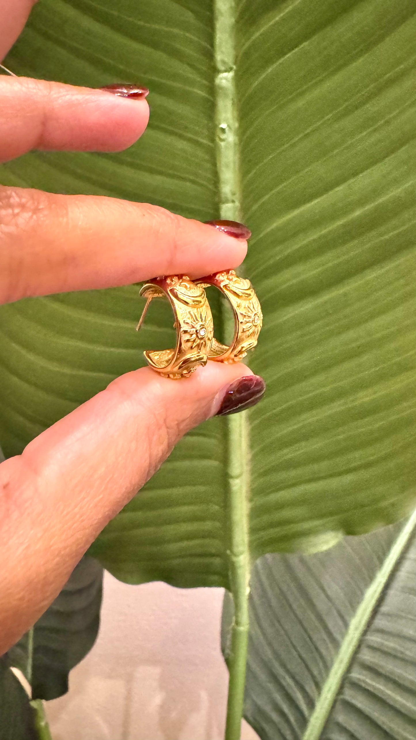 Celestial Hoops