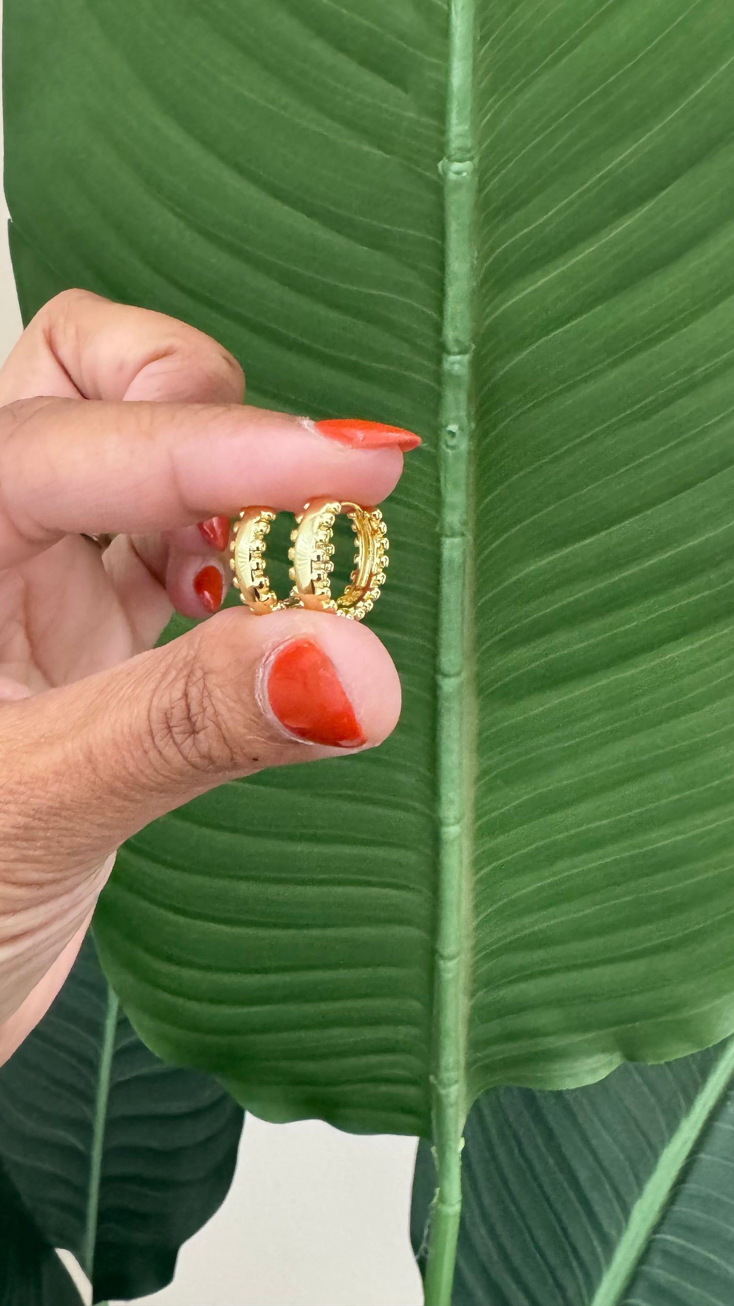 Anaya Hoops