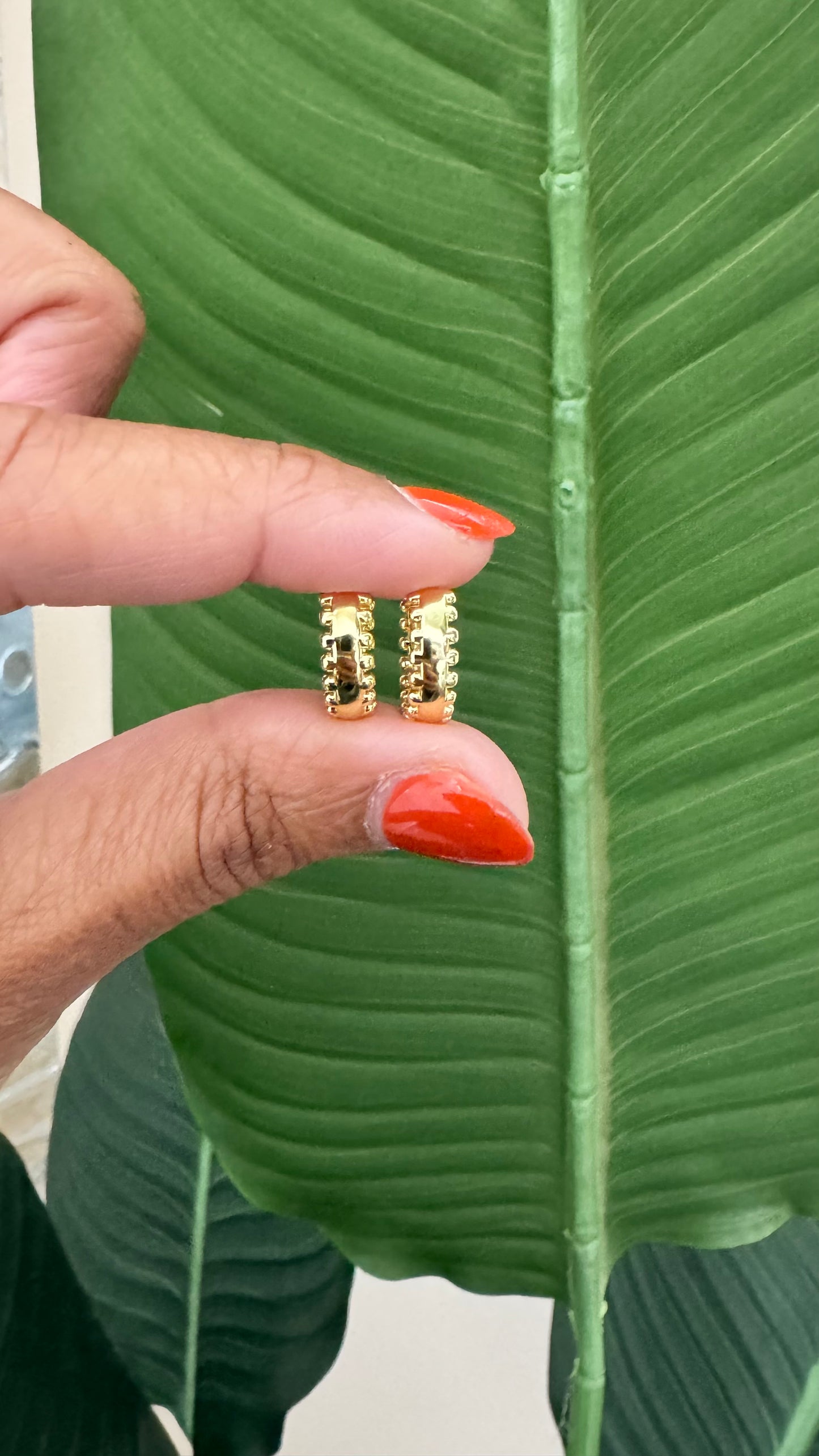 Anaya Hoops