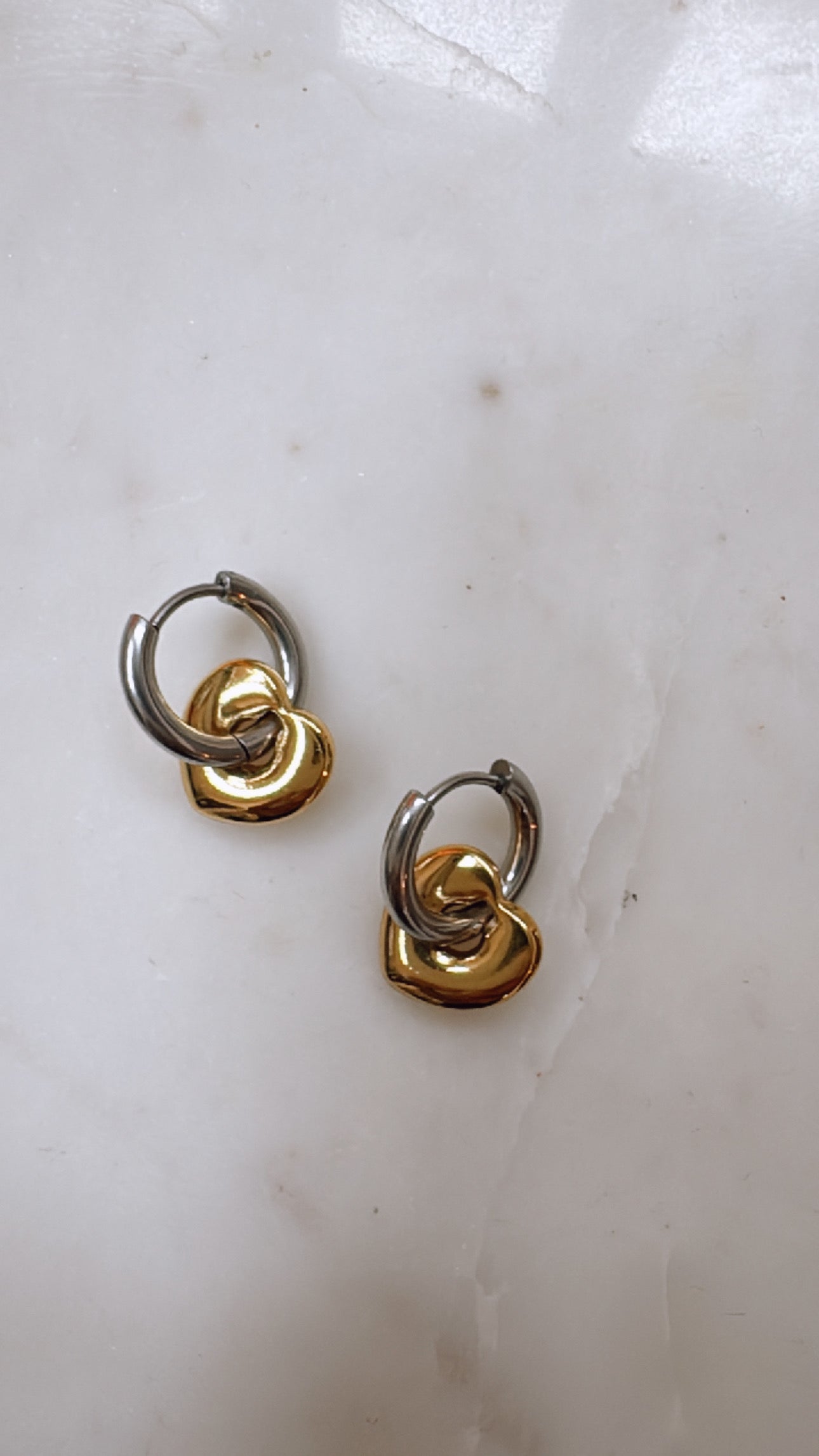 Two-Tone Versatile Earrings